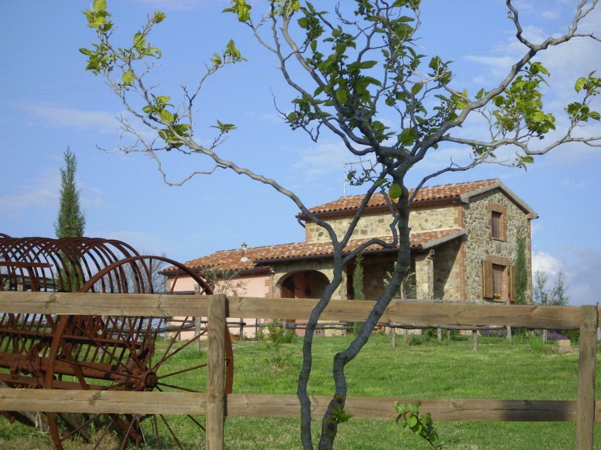 Agriturismo Il Feudo Guest House Grosseto Exterior photo